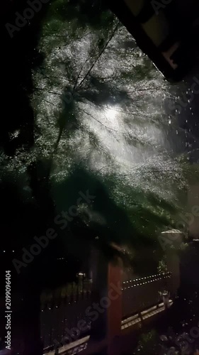 Dramatic night scene of a tree during heavy rain with backlight.