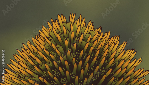 Naklejka AI-generated macro illustration showcasing the intricate center of an Echinacea flower. A detailed botanical artwork highlighting the geometric beauty, textures, and vibrant colors 