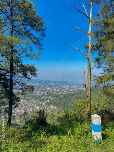 mountain viewpoint overlooking a city surrounded by pine forest under clear blue sky, featuring tall trees, green hills, and scenic natural landscape with expansive urban valley view.
