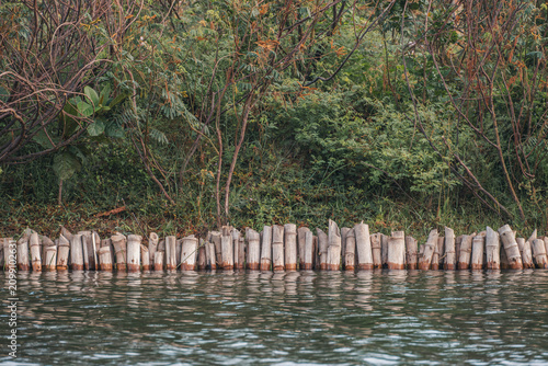 Bamboo Pole Retaining Wall Lining a Green Riverbank