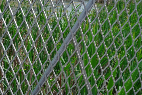 Quadro em tela Diamond pattern expanded metal mesh fence in front of green reeds and water