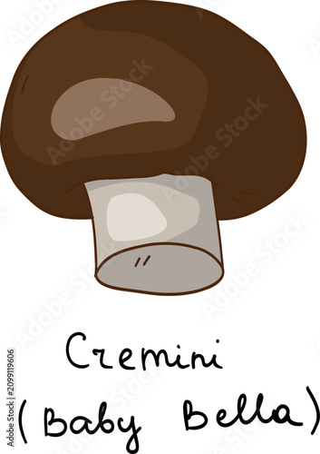 Billede på lærred A vector illustration of a brown Cremini mushroom, also known as Baby Bella, labeled below