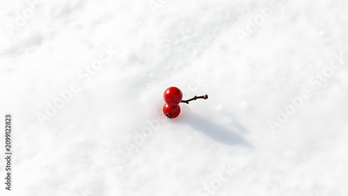 Single red berry on pure white snow, stark contrast, winter scene.