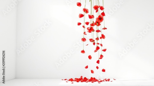 Red Poppies Cascading Down in a Minimalist White Room