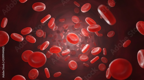 Bild auf Leinwand Red blood cells flowing through a human vein