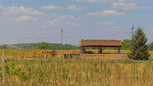 Картината върху платно Water Irrigation Corn Field Haystack Farm Barn Sunny Hot Summer Day in Vojvodina