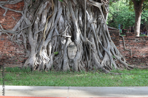 Φωτογραφία Buddha Head Enveloped by Banyan Roots: An ancient stone Buddha head is majestically entwined by the thick, gnarled roots of a banyan tree, set against a weathered brick wall
