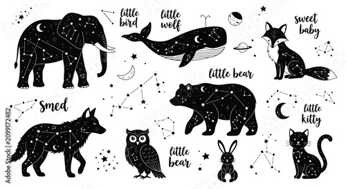 Photography Cute Black Animal Illustration Featuring Elephants Cats Owls and Bunnies