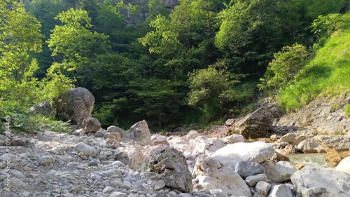 Rocky mountain stream bed with large white limestone boulders leads toward a dense green forest under bright sunlight in a scenic alpine wilderness landscape on a sunny day.