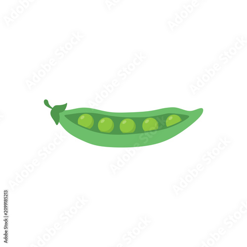 Flat vector illustration of a green pea pod with seeds. Open green pea pod with several peas.fresh green pea pod illustration. botanical design concept for food ingredients healthy eating design