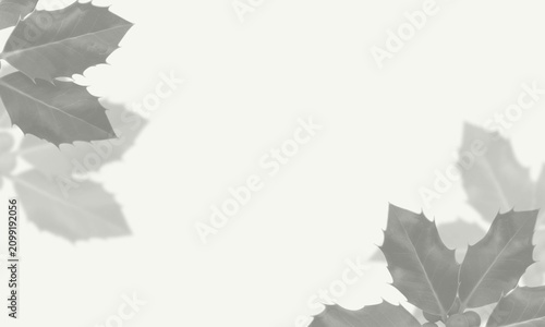 Delicate white leaves floating softly in air