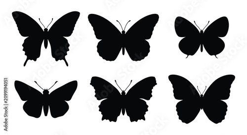 Fotografie Butterfly silhouettes a collection of six black vector shapes on white