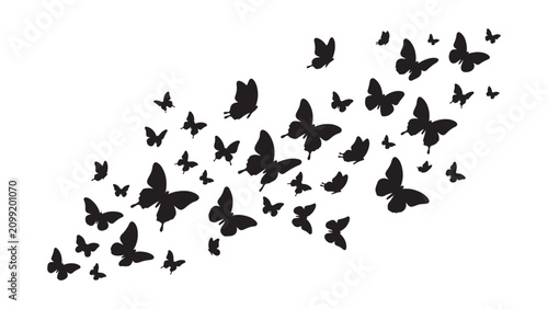 Black Butterfly Silhouettes Flying in a Swarm