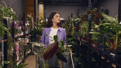 Woman leisurely chooses lush indoor plants in a plant store