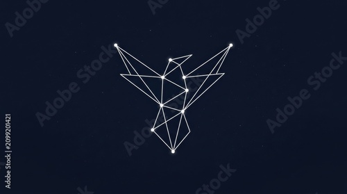 Minimalist bird constellation icon. Geometric star map design for astronomy branding.