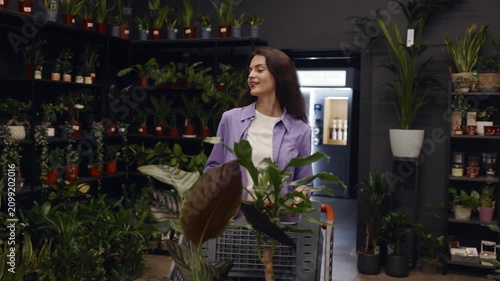 Cute woman leisurely chooses lush indoor plants in a plant store