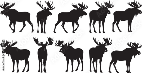 Bild auf Leinwand Silhouette moose herd walking across a white background during daylight