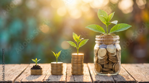 Growing Plants on Stacked Coins and Glass Jar Full of Money. Financial Growth and Investment Concept.