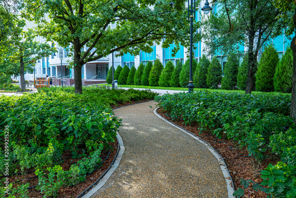 Obraz premium Curved walking path through manicured green park with trees and hedges in summer city, urban landscape design concept