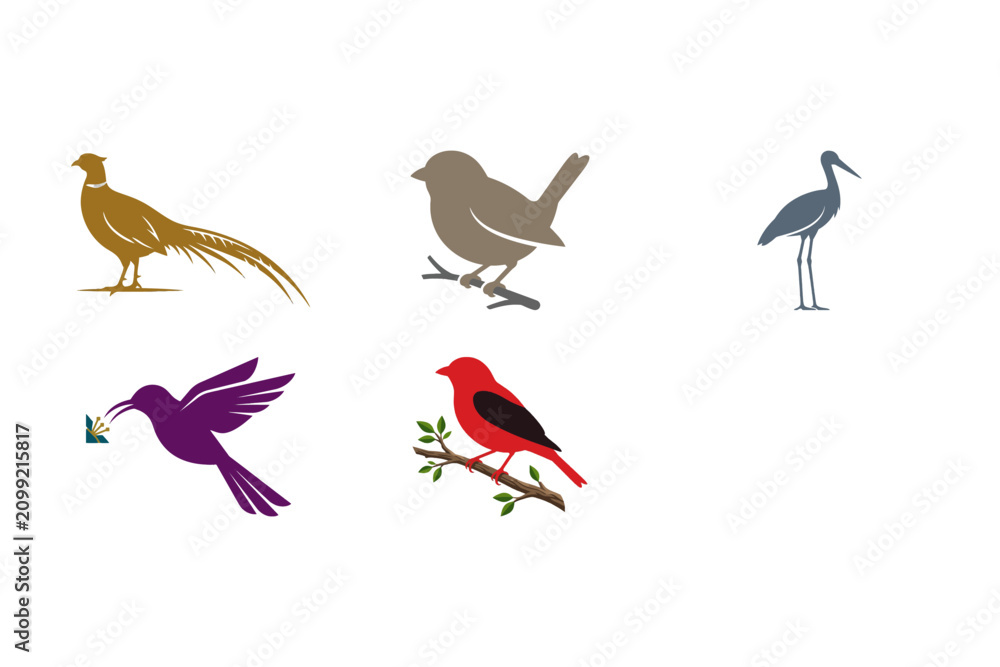 Obraz premium Set of five colorful bird silhouettes featuring a pheasant and hummingbird and cardinal and sparrow and heron illustrated on a transparent background