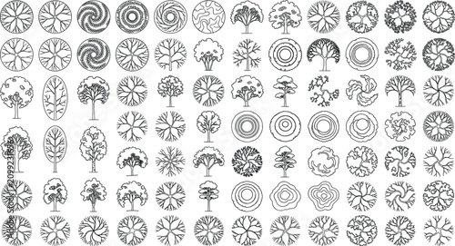 Canvastavla Hand Drawn Architectural Tree Top View Symbols Collection with Landscape Plan El