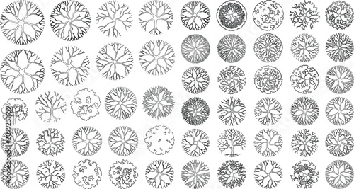 Canvastavla Hand Drawn Architectural Tree Top View Symbols Collection for Landscape Design C