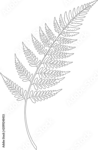 Intricate Hand Drawn Black Ink Illustration of a Delicate Botanical Fern Frond Leaf with Artistic Textures and Fine Details Isolated on a Clean White Background for Nature Themed Design Projects