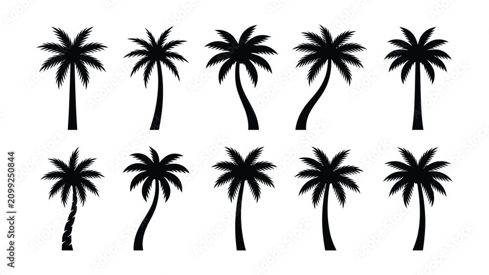 Fototapeta premium Collection of various palm tree silhouettes on white background tropical plants