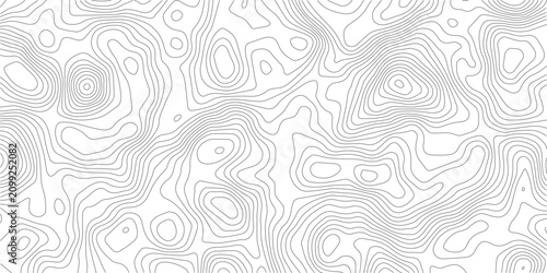 Tableau sur toile Abstract topographic map contour lines pattern in black and white with topograph