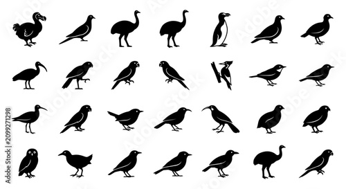 Fényképezés Black bird icons set silhouette vector illustration