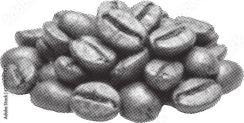 Vászonkép Halftone a pile of roasted coffee beans