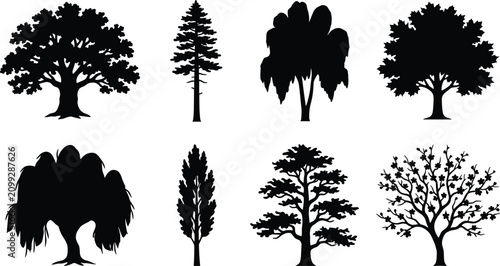 Photos Tree Silhouette Icon Set with Oak Pine Willow Poplar and Ornamental Landscape Tr