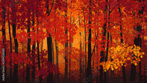 Foto Vibrant autumn forest scene with trees displaying brilliant red, orange, and yellow foliage under warm, glowing light, creating a rich tapestry of fall colors