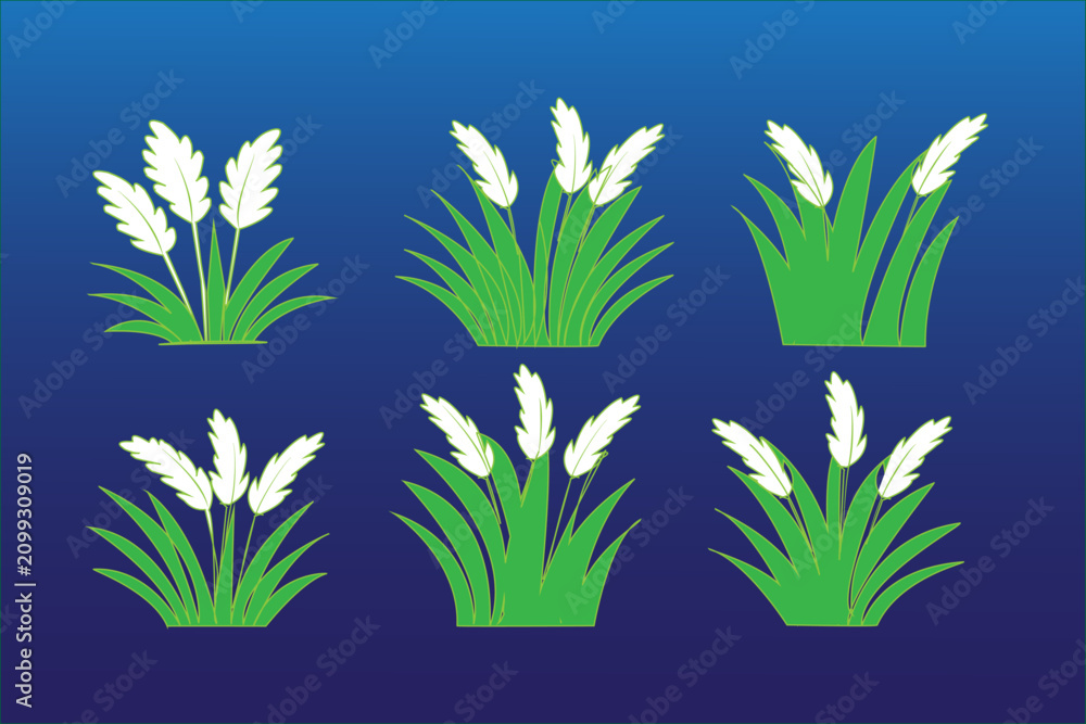 Fototapeta premium 6 Decorative Grass Flower Vector Set