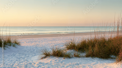 Golden sea oats sway on soft coastal sand dunes at sunrise, overlooking a calm pastel ocean as gentle waves meet the wide empty shore in the quiet tranquil warmth of early morning light.