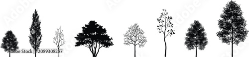Fotografía Diverse collection of black silhouette trees with varying foliage and branch str