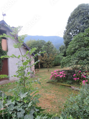 house in the garden