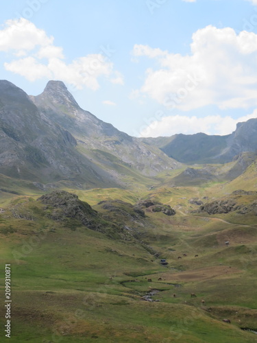 landscape with mountains