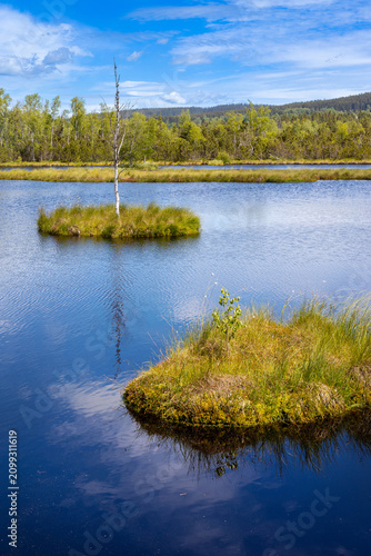 Chalupska swamp, Sumava mountains, South Bohemia, Czech republic