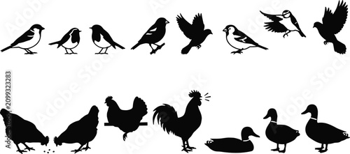 Photos PrintBlack Silhouette Various Birds Sparrow Pigeon Chicken Rooster Duck Flying P