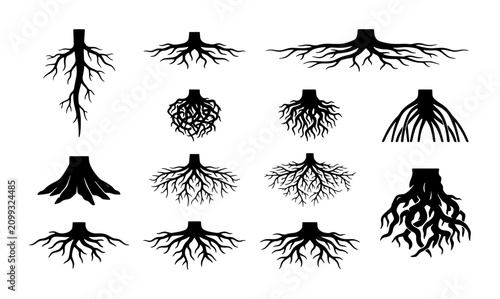 Tableau sur toile Diverse Tree Root Systems, Organic Growth Patterns, Plant Anatomy Vector Set, Na