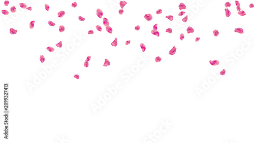 Bild auf Leinwand falling petals top rose floral background pink shower romance love valentine bor