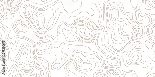 Bild auf Leinwand Abstract topographic map contour lines pattern in black and white with topograph