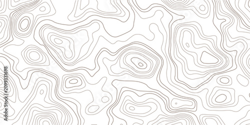 Foto Abstract topographic map contour lines pattern in black and white with topograph