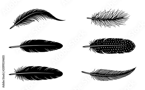 Foto Elegant Feather Illustrations, Delicate Bird Plumage Vector Set, Black and White