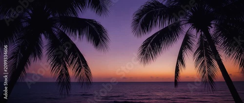 Palm trees silhouette against a vibrant tropical sunset over ocean water with tranquil waves