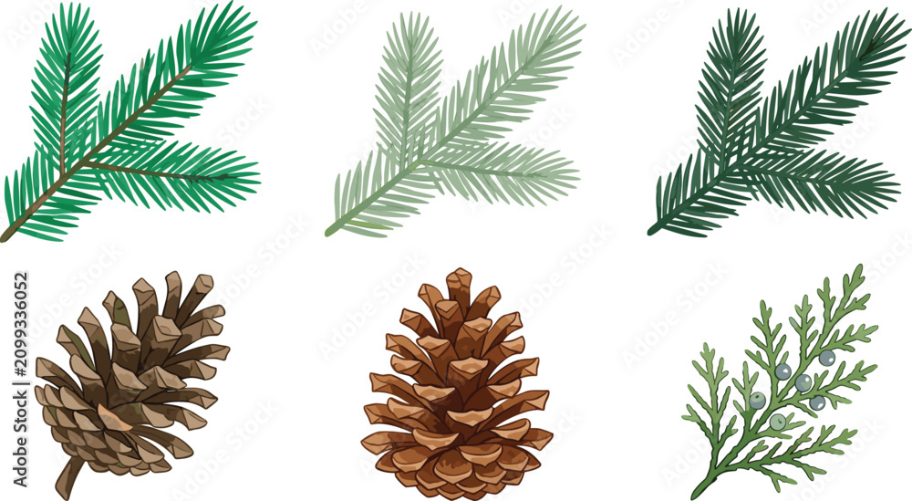 Naklejka premium Detailed Pine Branch and Pinecone Clipart Vector Set with Fir Needles, Cedar Twigs, and Evergreen Botanical Elements for Christmas Holiday Graphics
