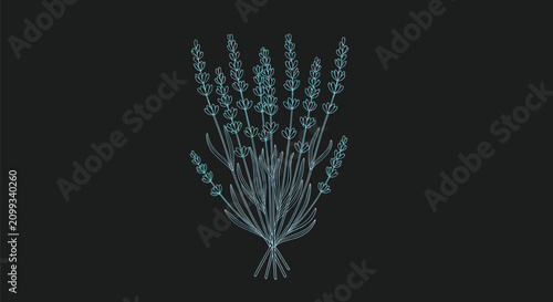 Delicate lavender flower bouquet sketch drawn with blue neon lines on a solid black background.