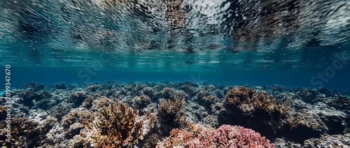 Underwater split view of vibrant coral reef ecosystem under blue sky