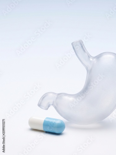 Stomach Model with Medical Capsule for Digestive Health Concept